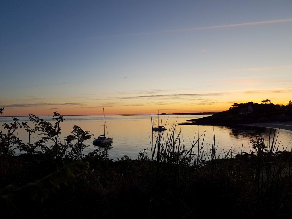 Gestion du bois du Petit Mousse